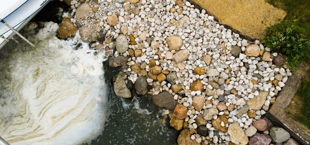 closeup of shoreline restoration