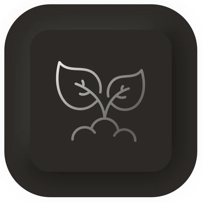 growth icon